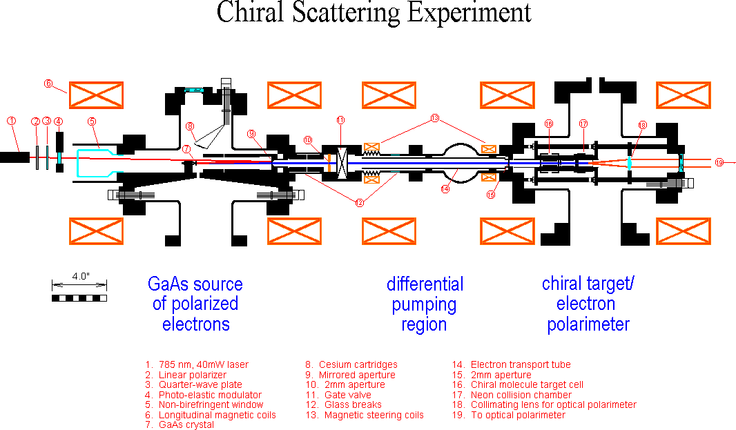 Device starts with GaAs source of polarized electrons, which flows into a differential pumping region, and ends at the chiral target / electron polarimeter.