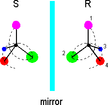 mirror image molecules