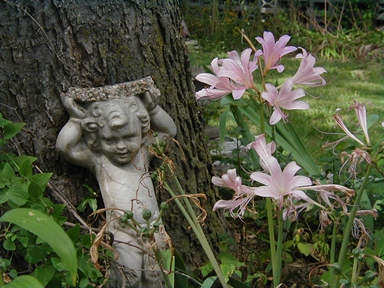 Surprise lily with statue, by Soni Cochran, UNL Extension