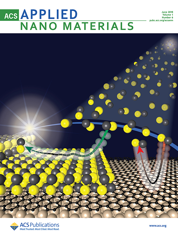 Cover of ACS Applied Nano Materials