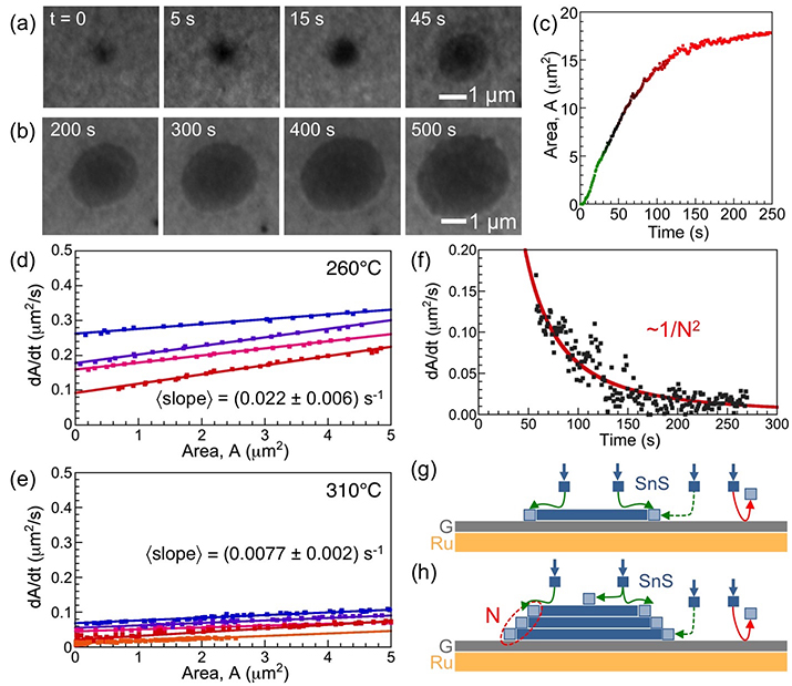 Real-time microscopy of SnS vdW epitaxy