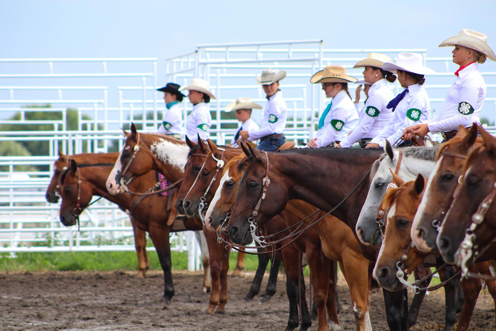 Horse Program Nebraska 4H