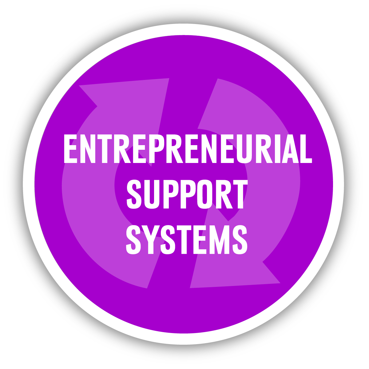 Entrepreneurial Support Systems