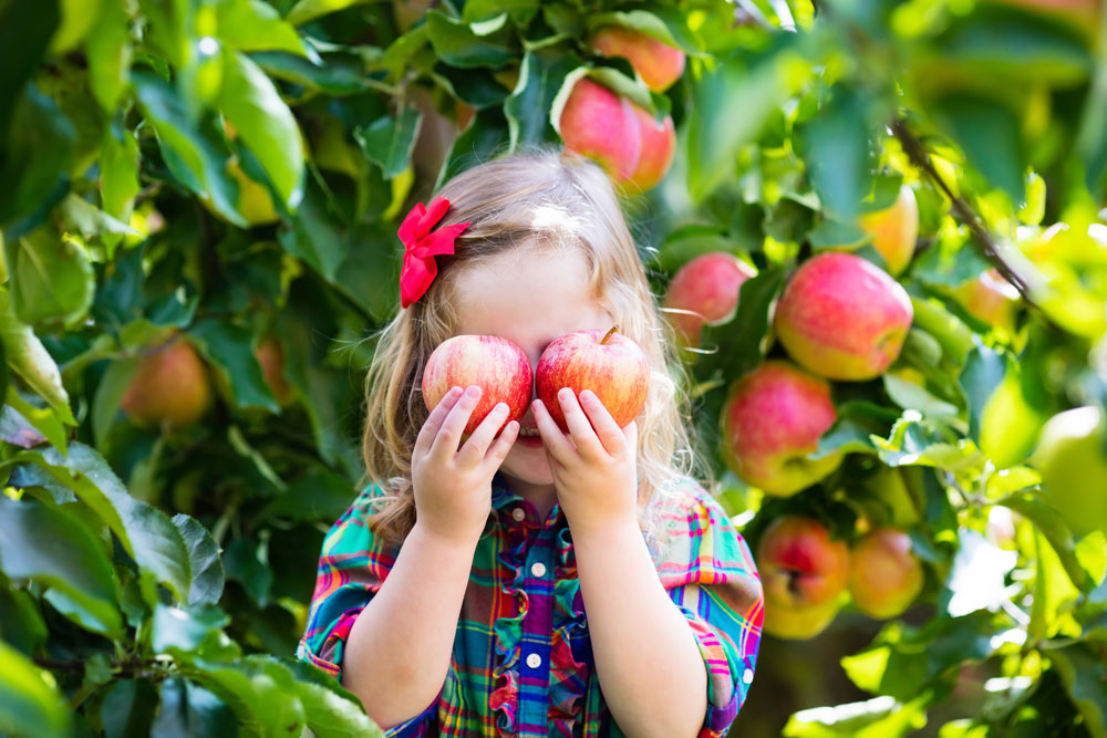 child holding apples in front of their eyes