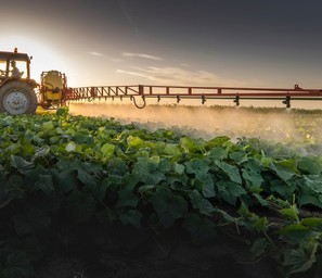 tractor spraying pesticide on bean field at dusk