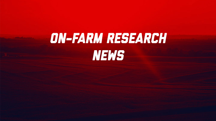 Farmer Focus: Wheat Producer Explores NinjaAg’s Performance in Nitrogen Management