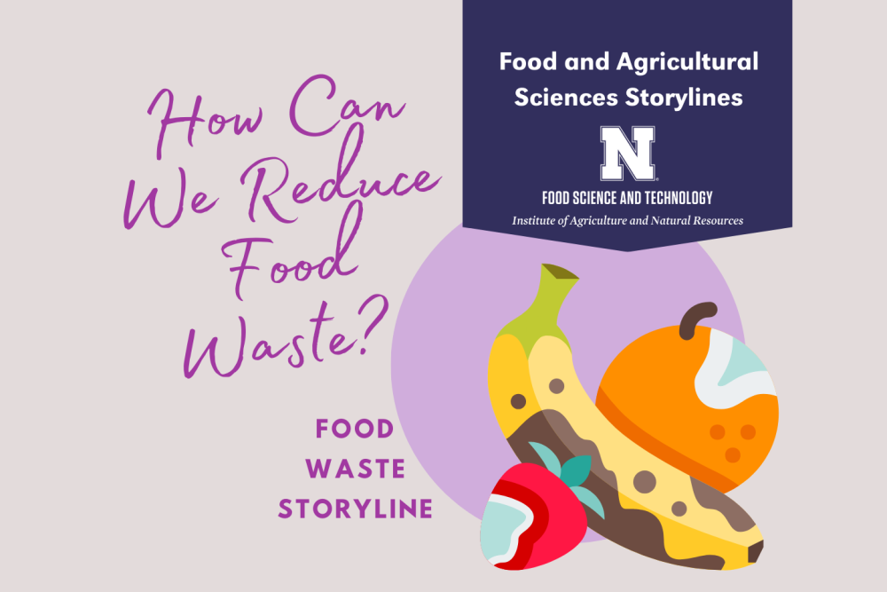 Food Waste storyline graphic