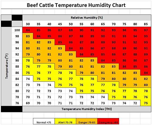 Handling Cattle through High Heat Humidity Indexes | Big Red Beef Talk ...