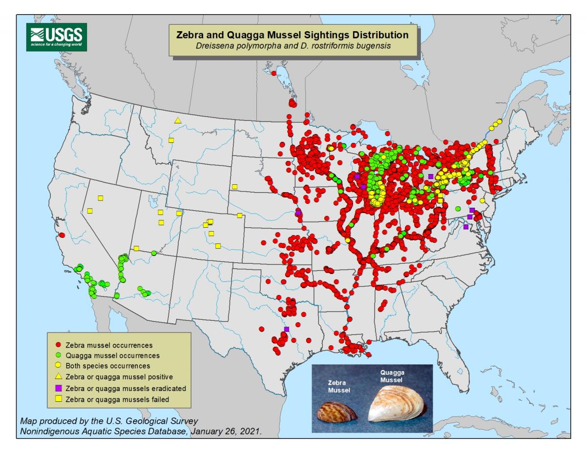map of zebra and quagga mussels in the united states