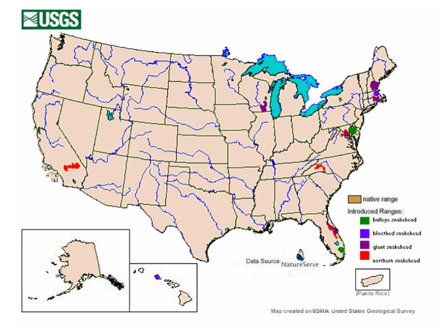 Snakehead Map